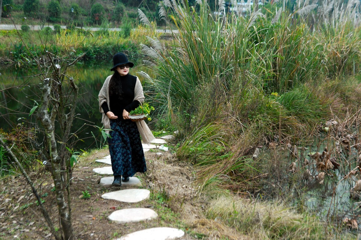 乡间小路漫步