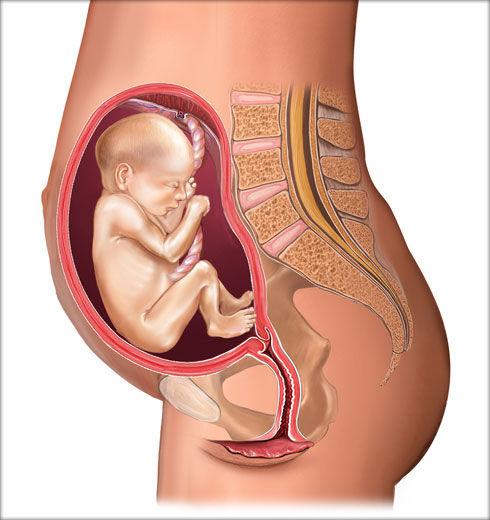 孕晚期营养食谱大全，健康饮食助力母婴健康呵护